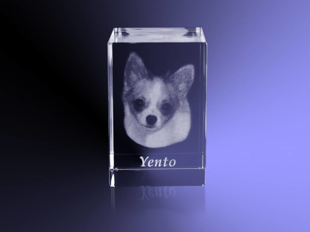 Foto in glas - 2D - Rechthoek blok - 4x4x6 cm - Liggend model