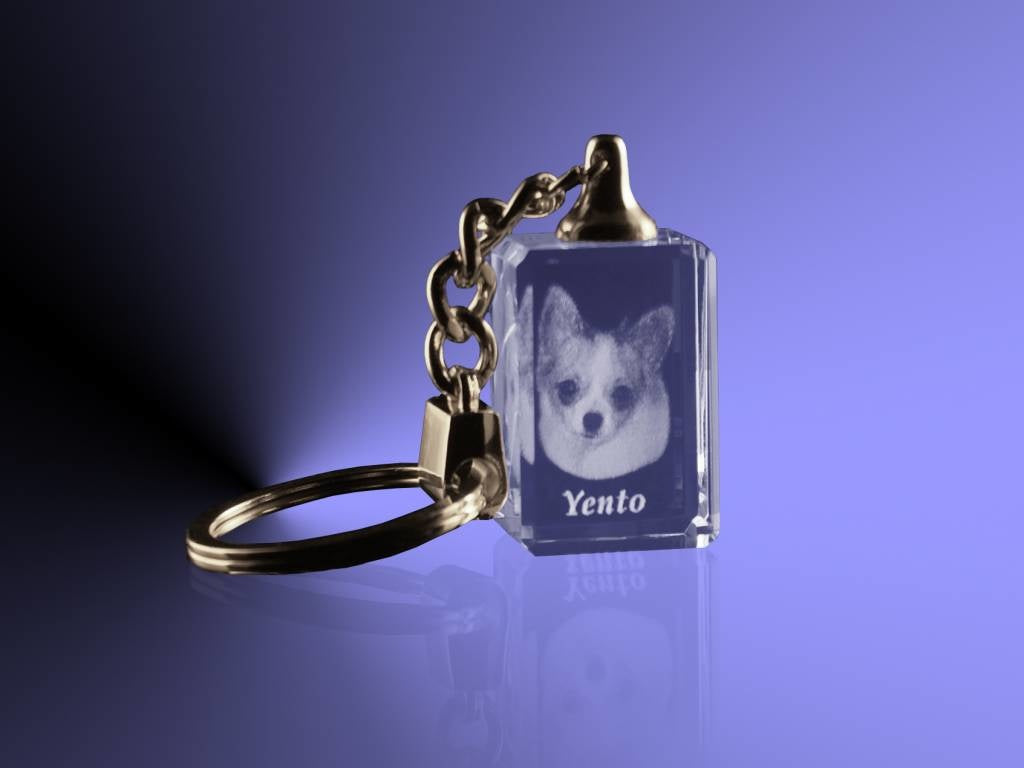 Foto in glas - 2D - Sleutelhanger zonder licht - 20x30x15 mm
