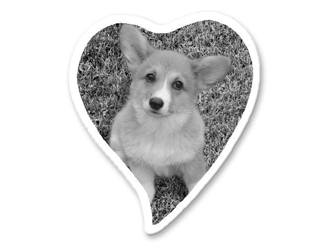 Foto op porselein Hart