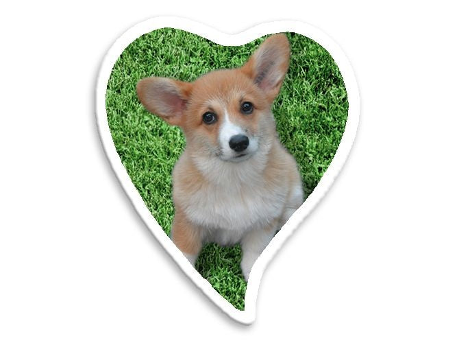 Foto op porselein Hart