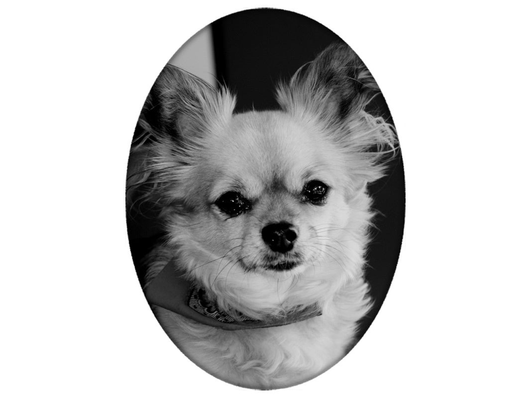 Foto op porselein Ovaal zonder rand (volledige print)