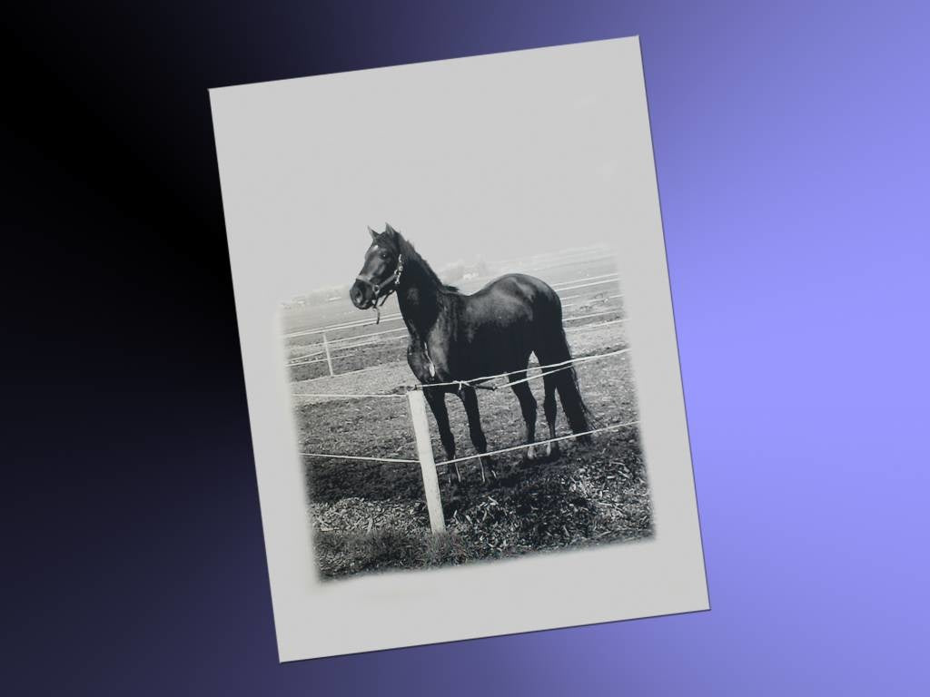 Foto op spiegel rechthoek