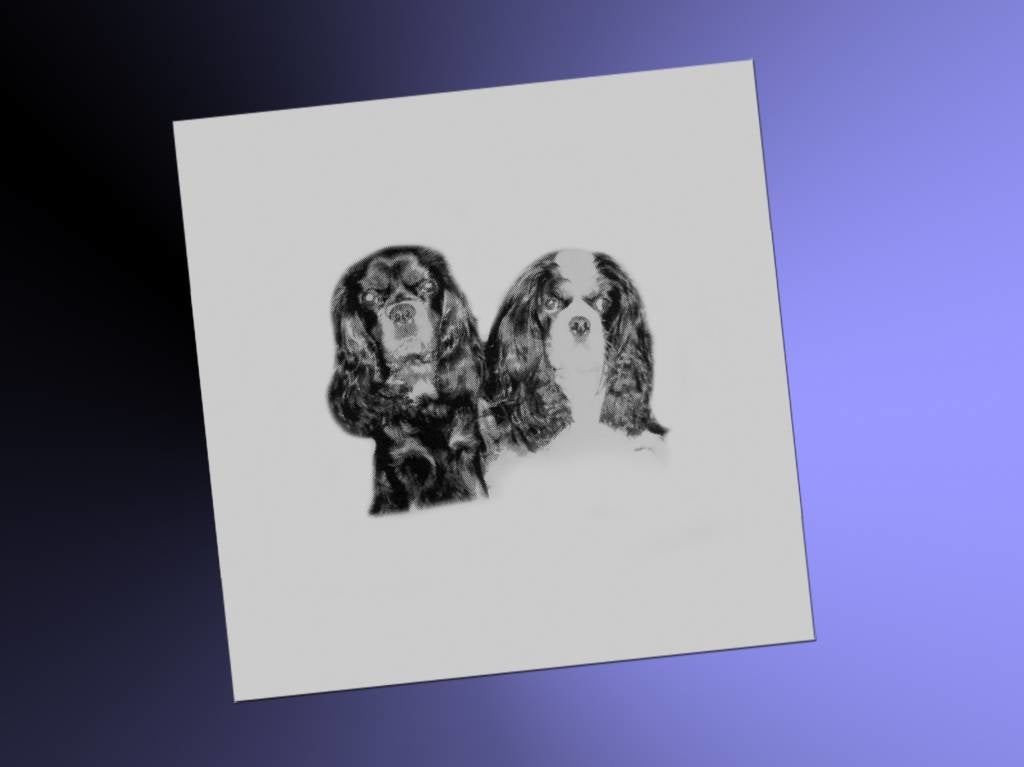 Foto op spiegel vierkant