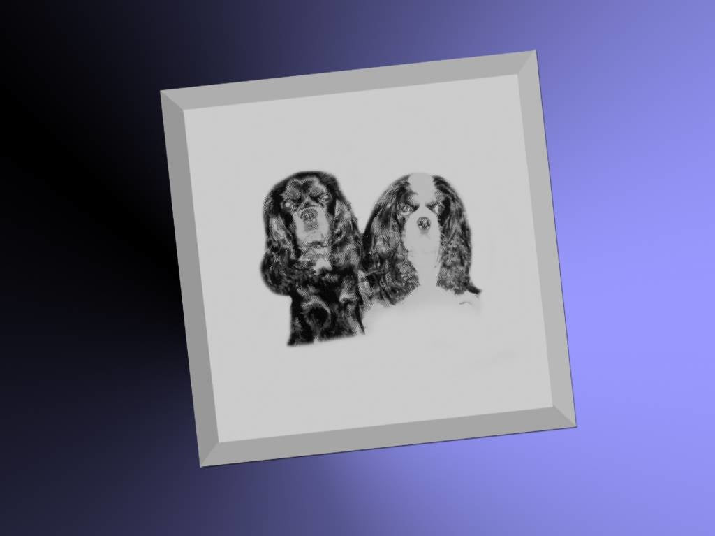 Foto op spiegel vierkant