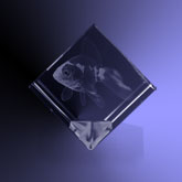 Dier 3D in kristal - kubus 50x50x50 mm afgevlakte hoek