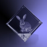 Dier 3D in kristal - kubus 80x80x80 mm afgevlakte hoek