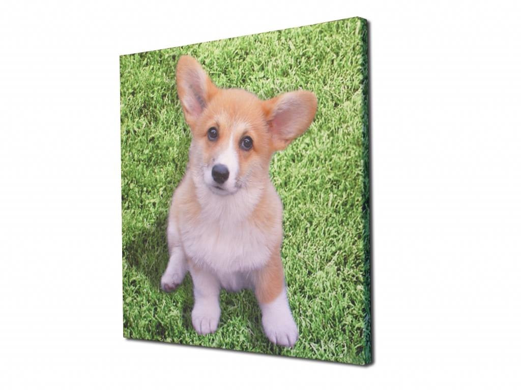 Foto op Canvas